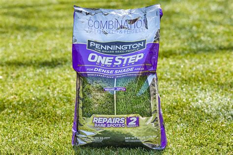 Get Ready for Fall with Onyx Beauty Grass Seed